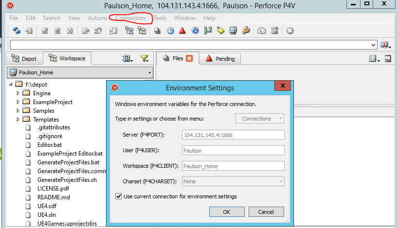 Perforce Environment Settings